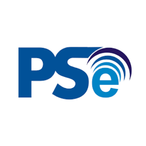 PSE Logo